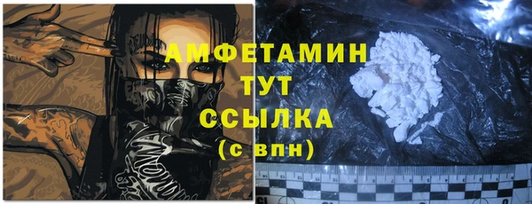 гидропоника Гусиноозёрск