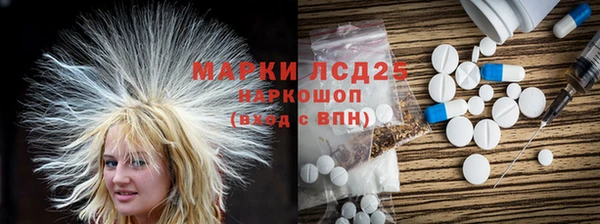крисы Корсаков