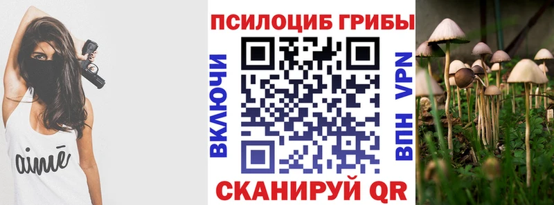 Галлюциногенные грибы ЛСД  Балтийск 